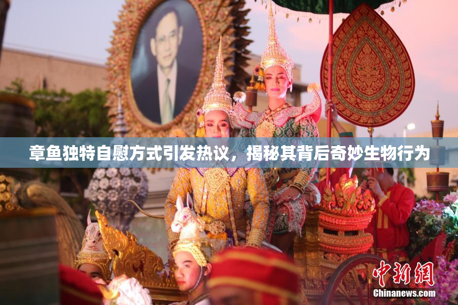 章鱼独特自慰方式引发热议，揭秘其背后奇妙生物行为