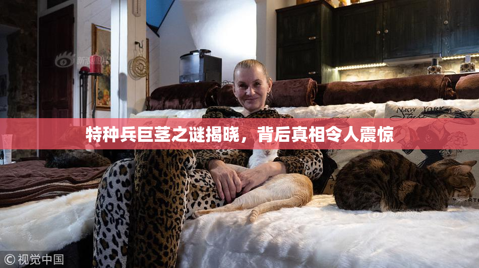 特种兵巨茎之谜揭晓，背后真相令人震惊