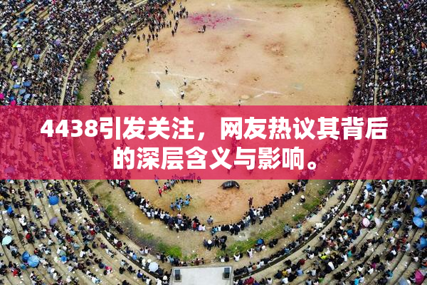 4438引发关注，网友热议其背后的深层含义与影响。
