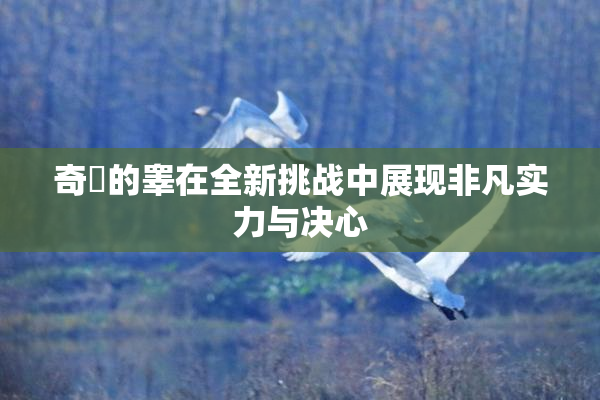 奇犽的睾在全新挑战中展现非凡实力与决心