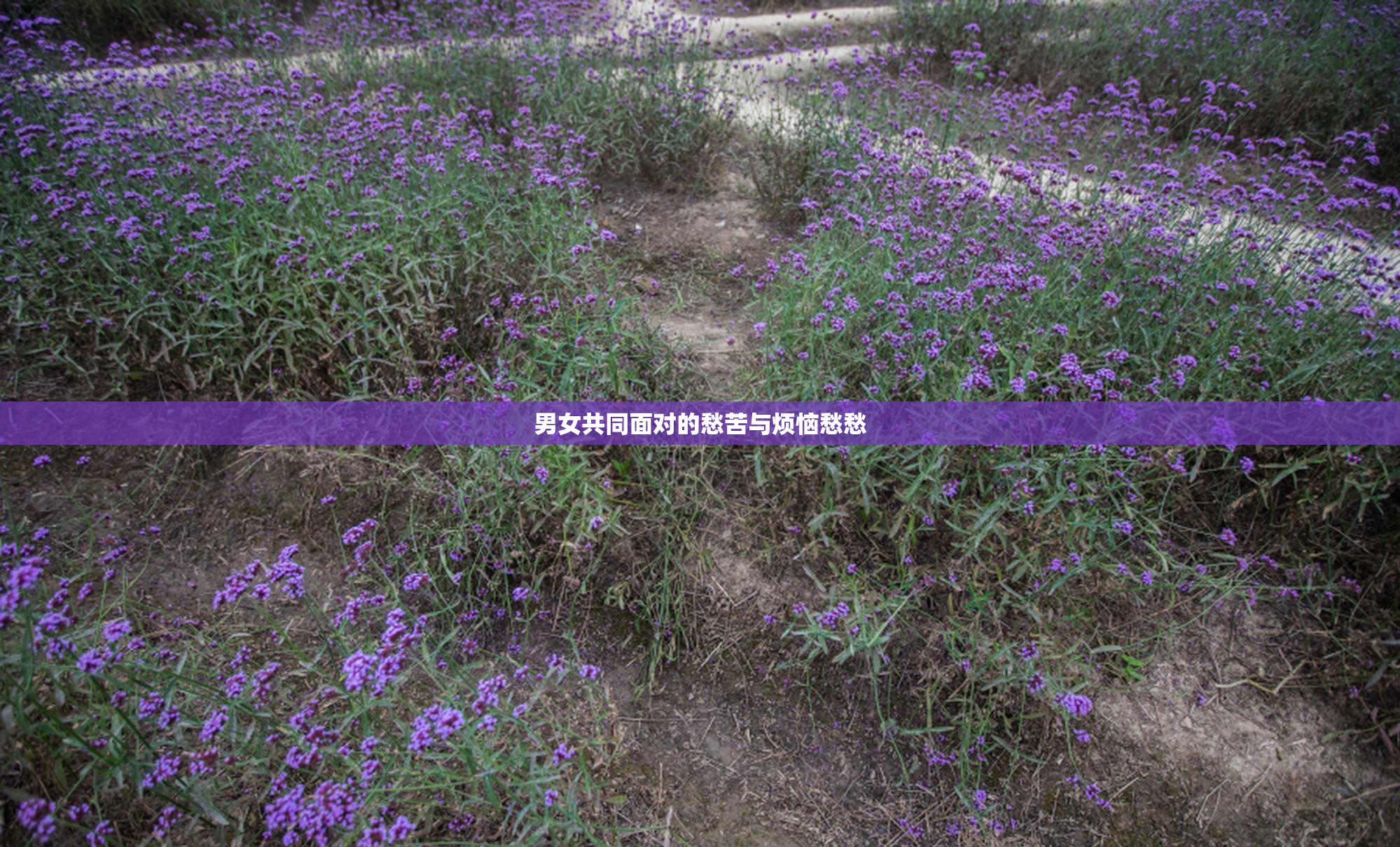 男女共同面对的愁苦与烦恼愁愁
