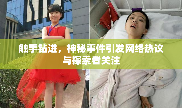 触手钻进，神秘事件引发网络热议与探索者关注