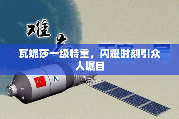 瓦妮莎一级特重，闪耀时刻引众人瞩目