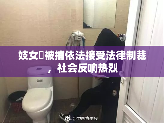 妓女梱被捕依法接受法律制裁，社会反响热烈