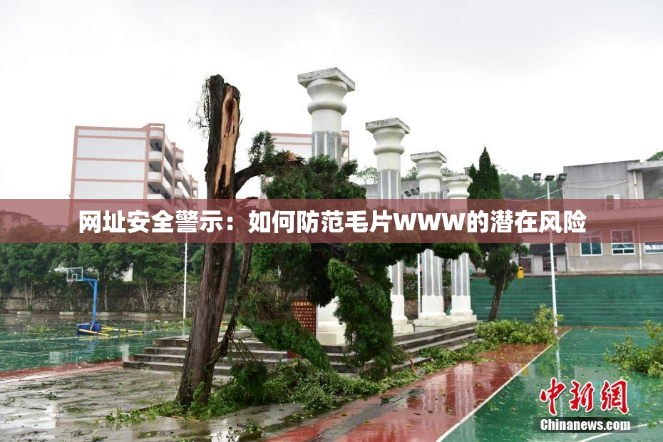 网址安全警示：如何防范毛片WWW的潜在风险