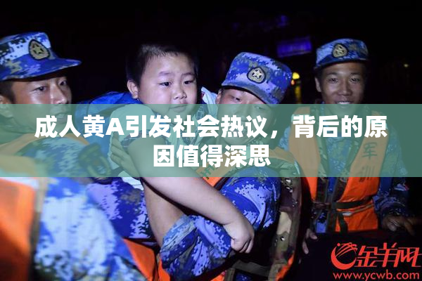 成人黄A引发社会热议，背后的原因值得深思