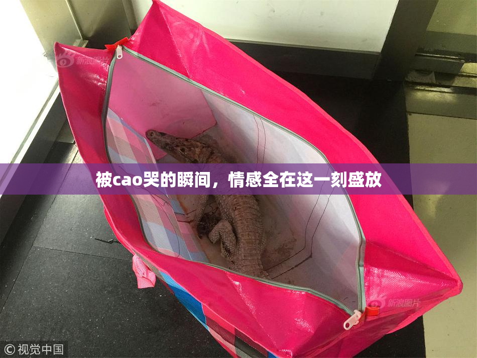 被cao哭的瞬间，情感全在这一刻盛放