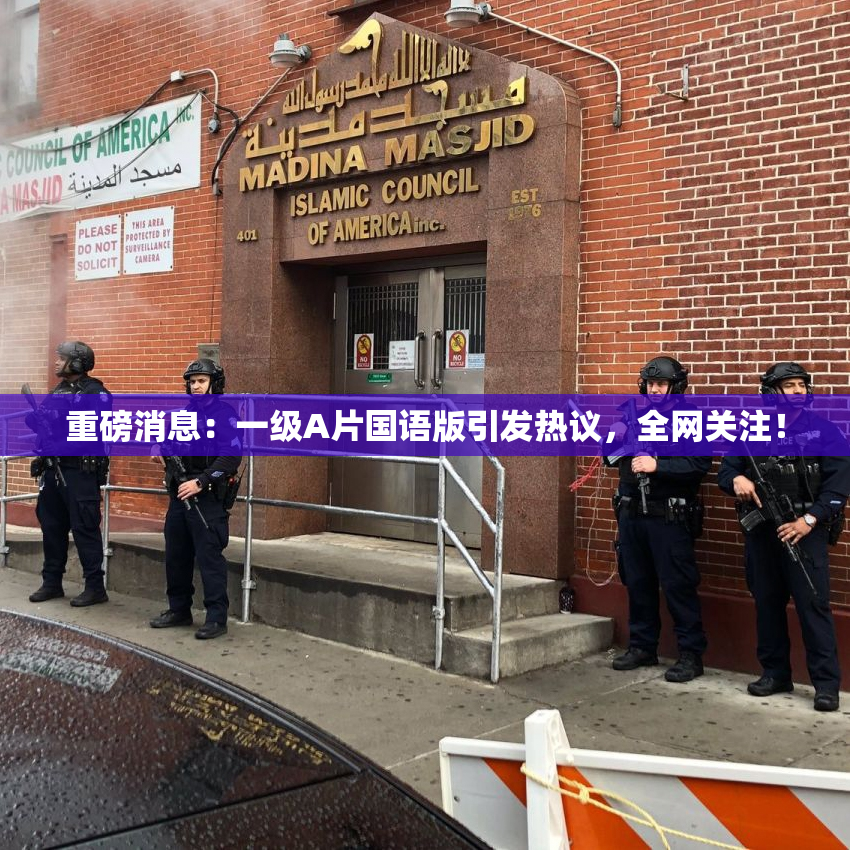 重磅消息：一级A片国语版引发热议，全网关注！