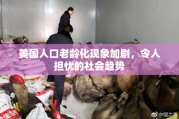美国人口老龄化现象加剧，令人担忧的社会趋势