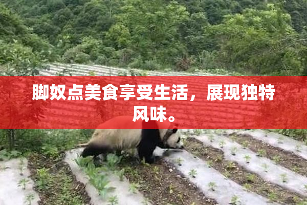 脚奴点美食享受生活，展现独特风味。