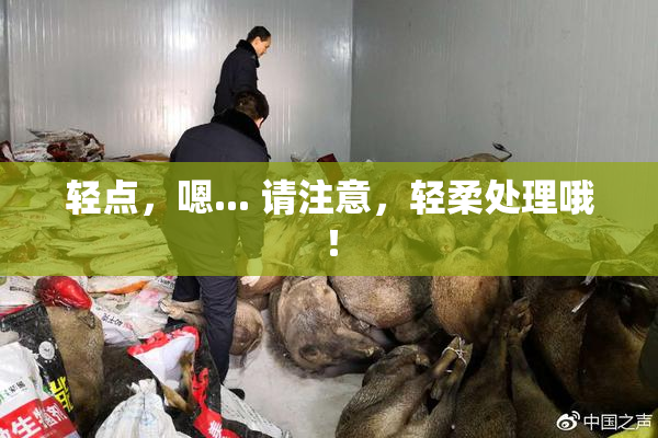 轻点，嗯... 请注意，轻柔处理哦！