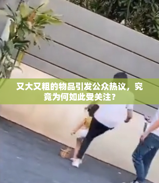 又大又粗的物品引发公众热议，究竟为何如此受关注？