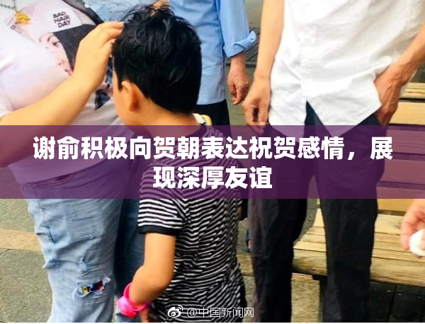 谢俞积极向贺朝表达祝贺感情，展现深厚友谊