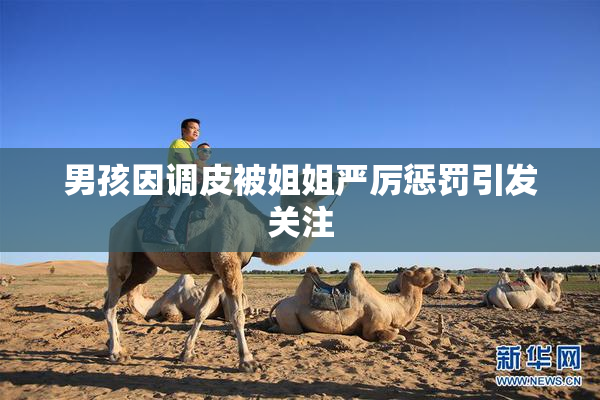 男孩因调皮被姐姐严厉惩罚引发关注