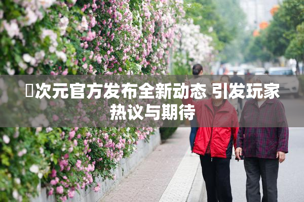 囧次元官方发布全新动态 引发玩家热议与期待