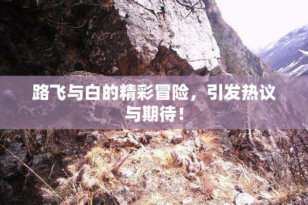 路飞与白的精彩冒险，引发热议与期待！