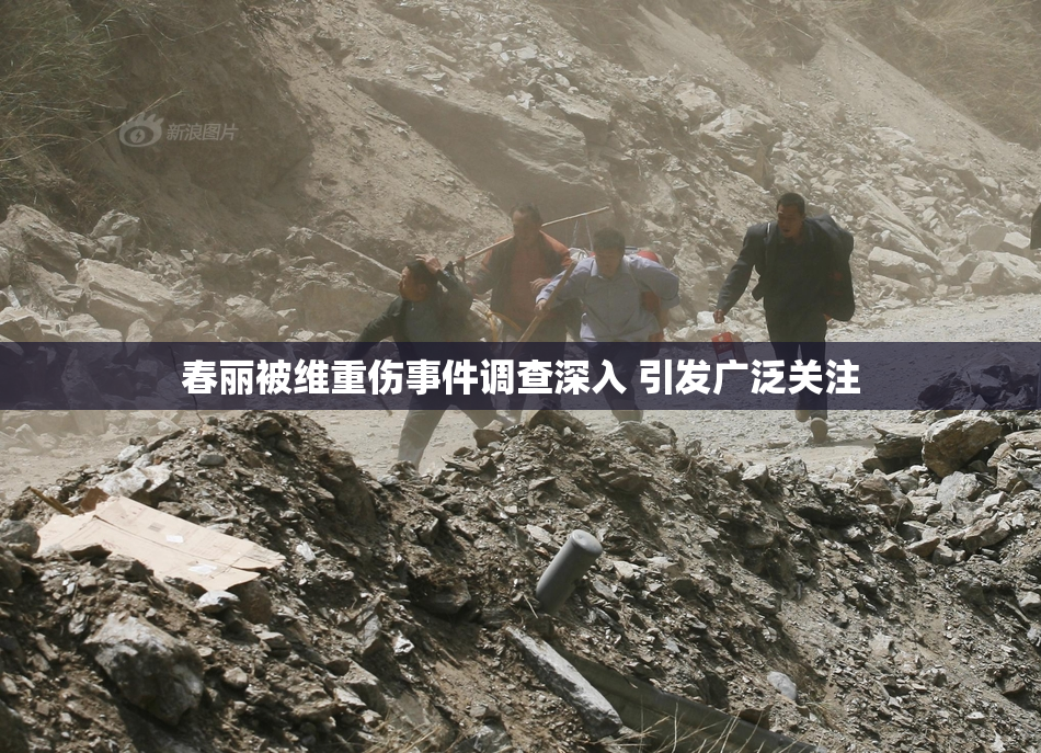 春丽被维重伤事件调查深入 引发广泛关注
