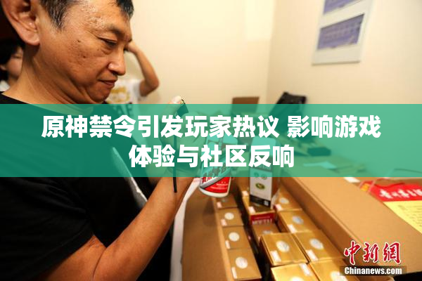 原神禁令引发玩家热议 影响游戏体验与社区反响