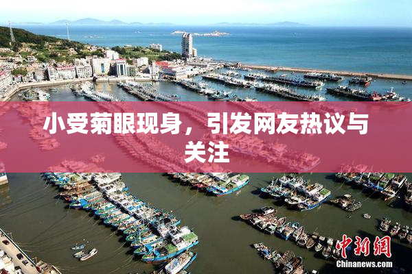 小受菊眼现身，引发网友热议与关注
