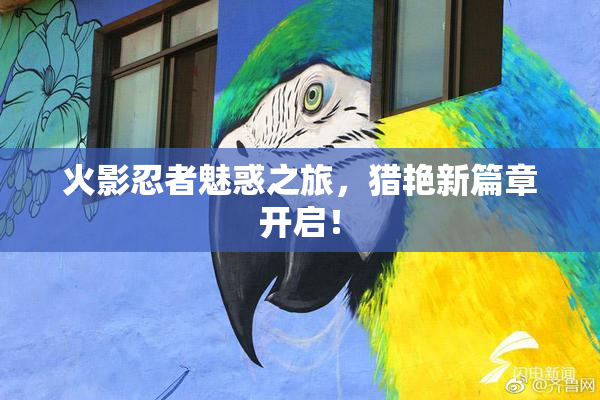 火影忍者魅惑之旅，猎艳新篇章开启！