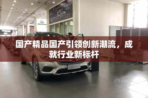 国产精品国产引领创新潮流，成就行业新标杆