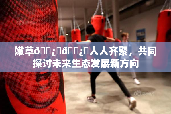 嫩草🌿‌🌿‌人人齐聚，共同探讨未来生态发展新方向