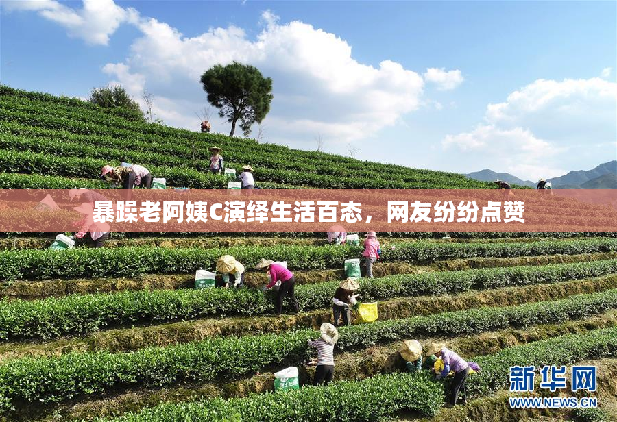 暴躁老阿姨C演绎生活百态，网友纷纷点赞