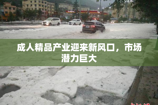 成人精品产业迎来新风口，市场潜力巨大