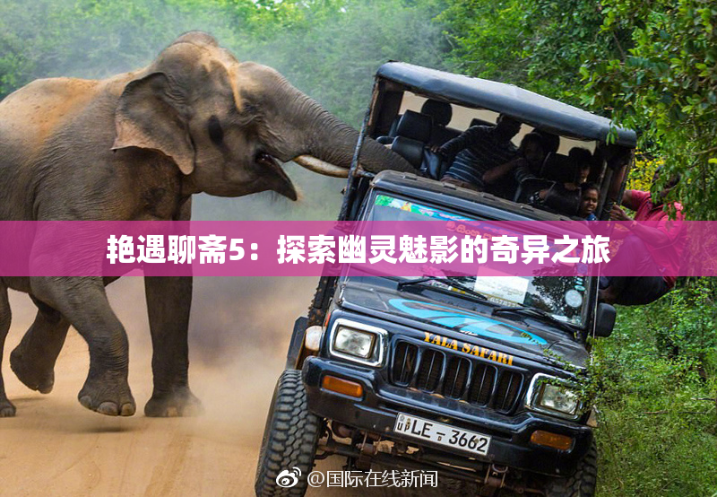 艳遇聊斋5：探索幽灵魅影的奇异之旅