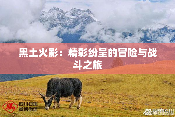 黑土火影：精彩纷呈的冒险与战斗之旅