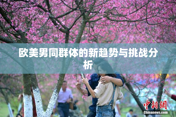 欧美男同群体的新趋势与挑战分析