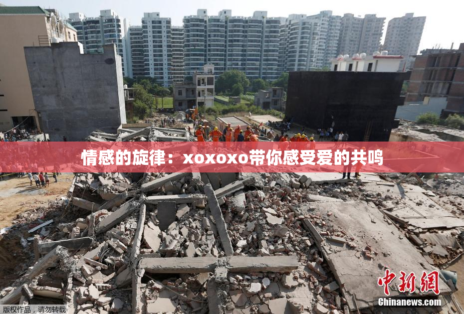 情感的旋律：xoxoxo带你感受爱的共鸣