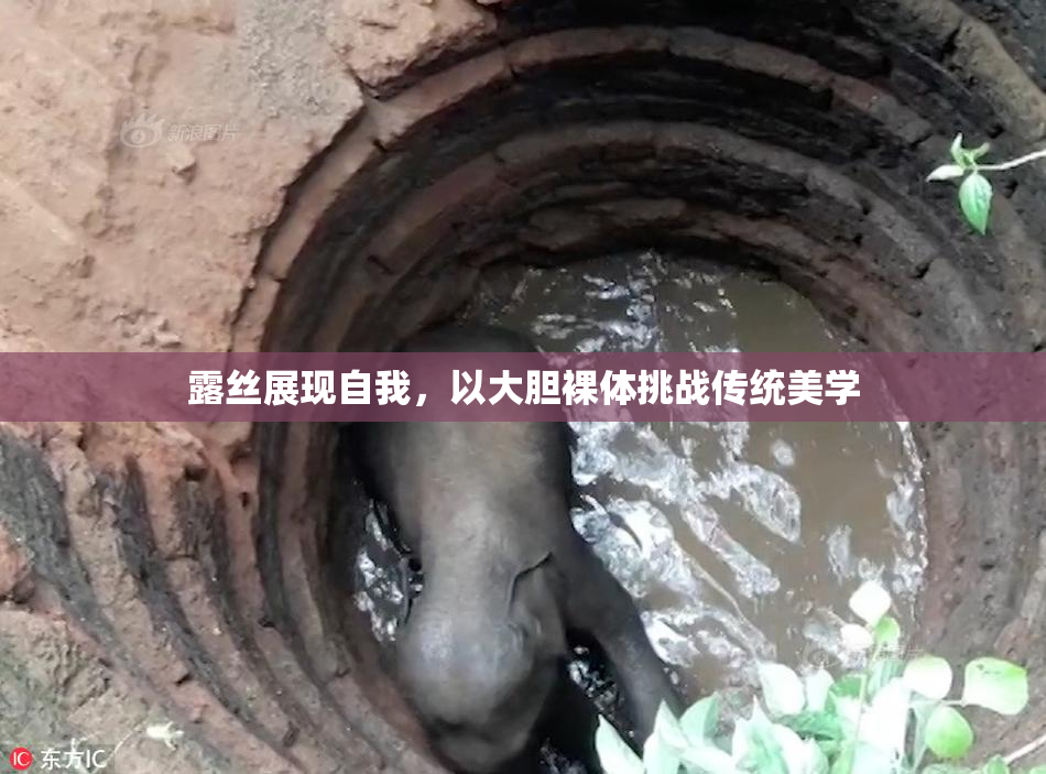 露丝展现自我，以大胆裸体挑战传统美学