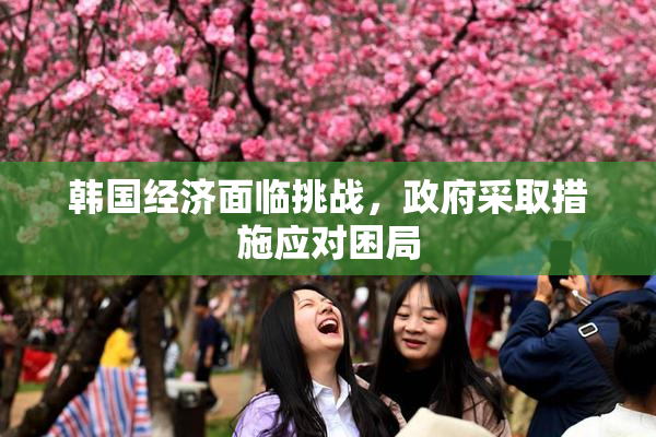 韩国经济面临挑战，政府采取措施应对困局