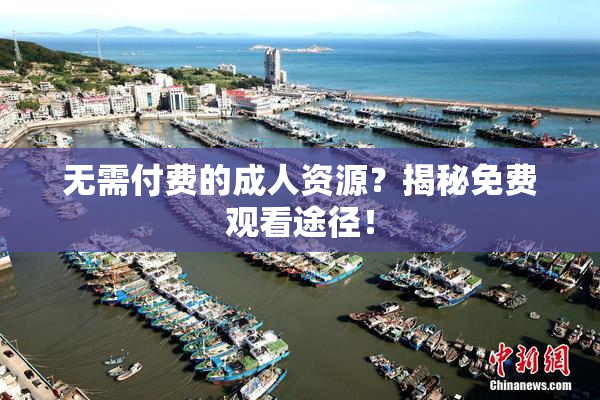 无需付费的成人资源？揭秘免费观看途径！