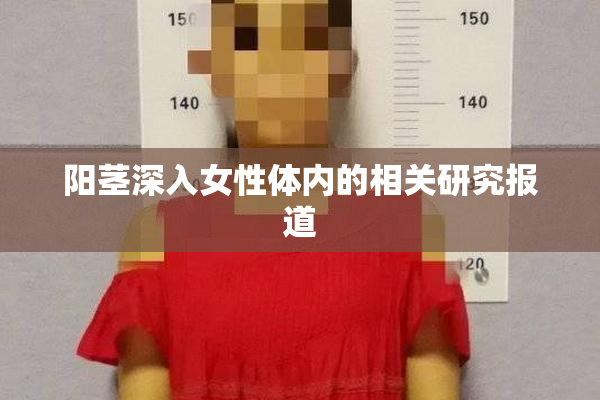 阳茎深入女性体内的相关研究报道