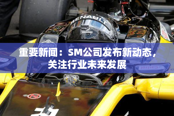 重要新闻：SM公司发布新动态，关注行业未来发展
