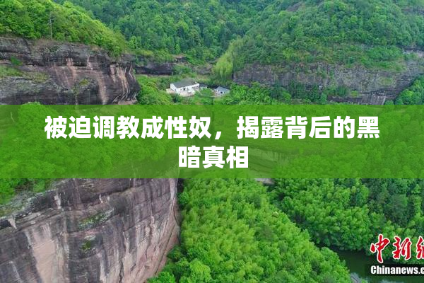 被迫调教成性奴，揭露背后的黑暗真相