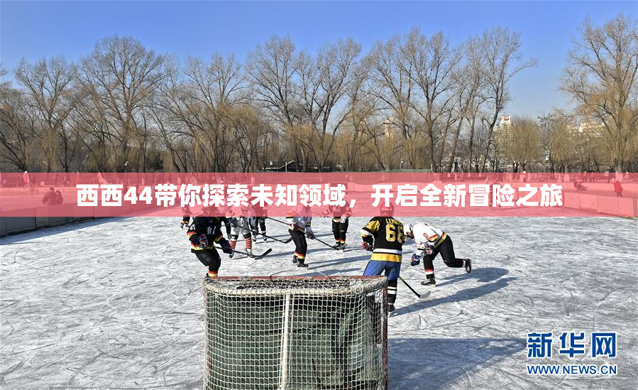 西西44带你探索未知领域，开启全新冒险之旅