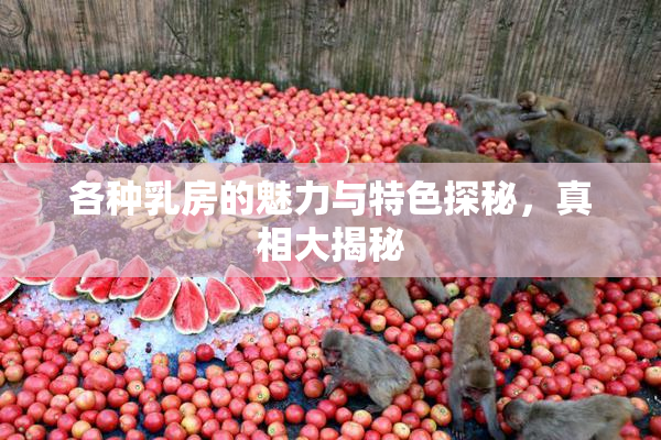 各种乳房的魅力与特色探秘，真相大揭秘