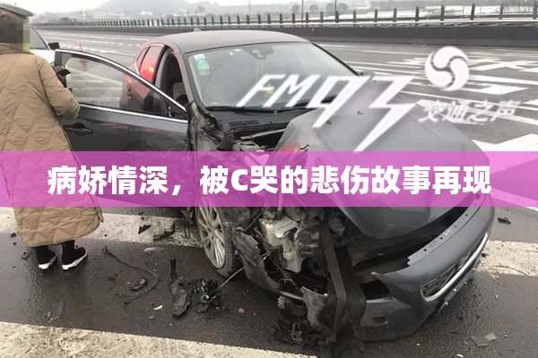 病娇情深，被C哭的悲伤故事再现