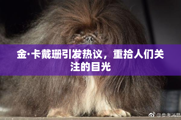 金·卡戴珊引发热议，重拾人们关注的目光