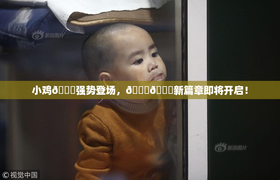 小鸡🐔强势登场，🍑🔞新篇章即将开启！