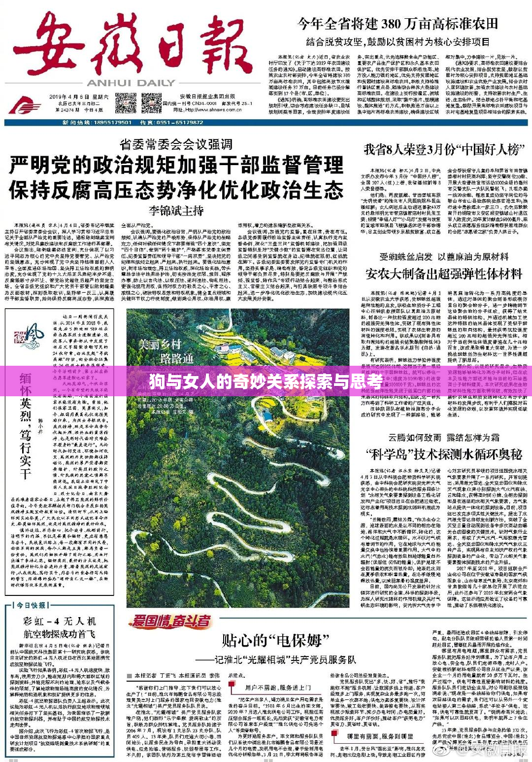 狗与女人的奇妙关系探索与思考