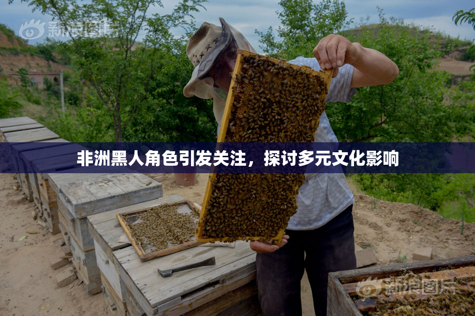 非洲黑人角色引发关注，探讨多元文化影响