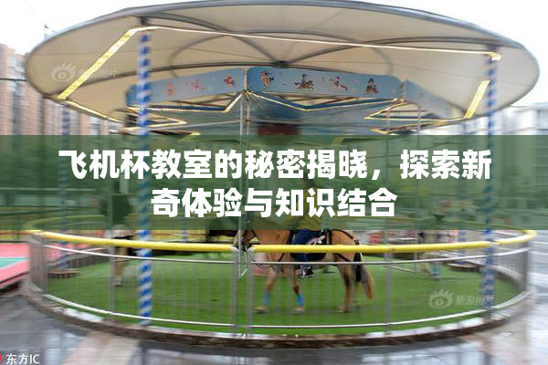 飞机杯教室的秘密揭晓，探索新奇体验与知识结合