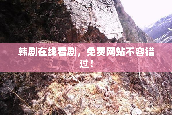 韩剧在线看剧，免费网站不容错过！
