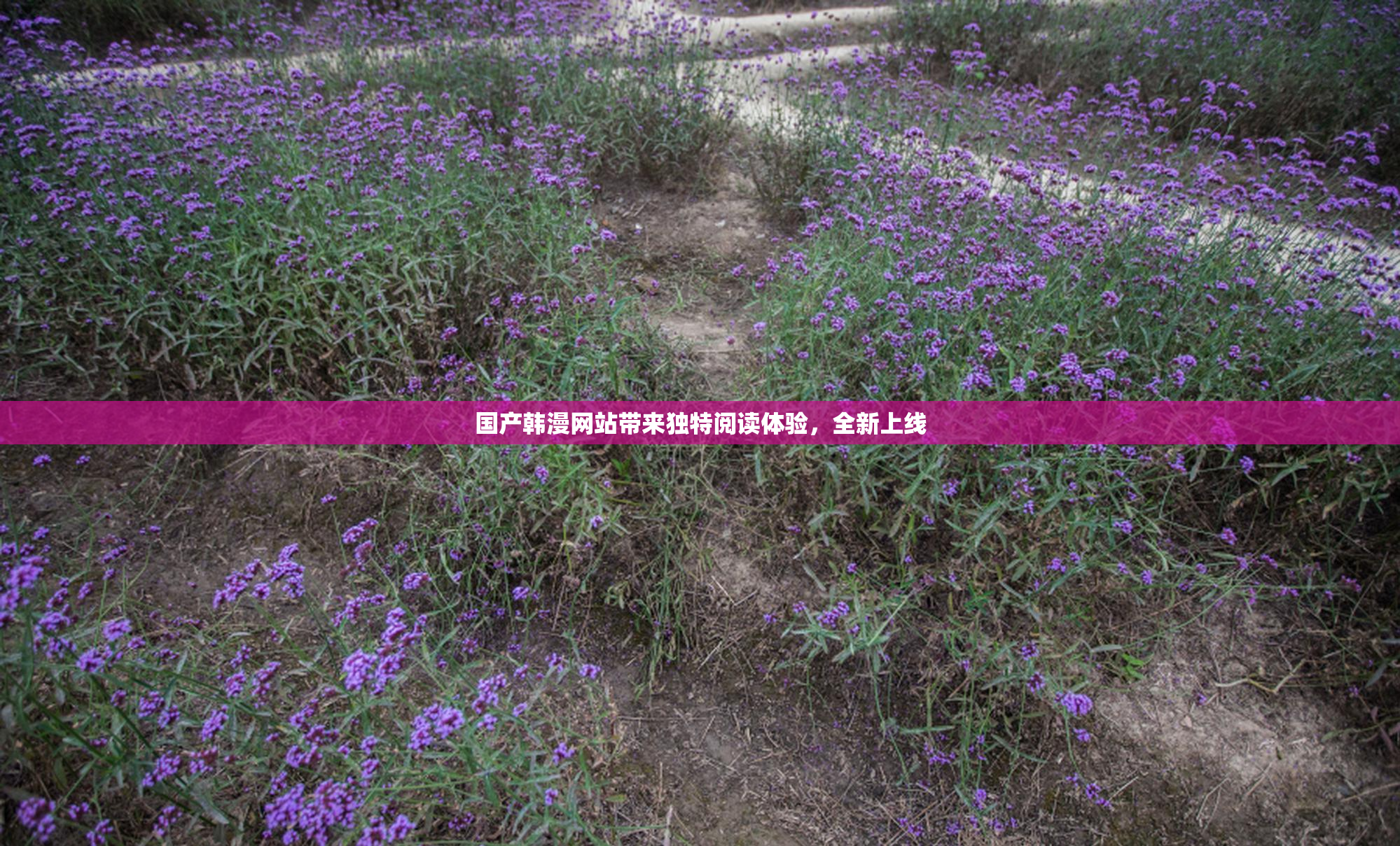 国产韩漫网站带来独特阅读体验，全新上线