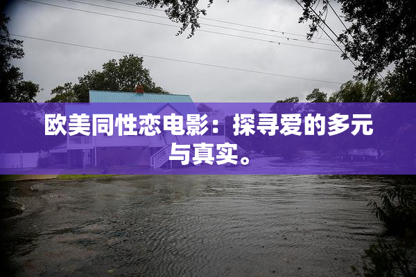 欧美同性恋电影：探寻爱的多元与真实。
