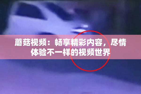 蘑菇视频：畅享精彩内容，尽情体验不一样的视频世界